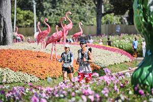 BIB: 
                            <button type="button" onclick="openModal(27793703)" class="btn btn-primary btn-sm float-right btn-popup" data-toggle="modal" data-target=".modal-high-quality">
                        <i class="fas fa-shopping-cart"></i> Add to Cart
                    </button>
                                            <button type="button" onclick="isThisMe(27793703, true)" class="btn btn-success btn-sm float-right btn-popup btn-isme hidden" data-toggle="tooltip" data-placement="bottom" title="นี่คือรูปของคุณใช่ไหม คลิกที่นี่เพื่อเอาเข้าอัลบั้ม">
                        <i class="fas fa-plus"></i> Add to album
                    </button>
                    <button type="button" onclick="isThisMe(27793703, false)" class="btn btn-warning btn-sm float-right btn-popup btn-isnotme hidden">
                        <i class="fas fa-ban"></i> Remove from album
                    </button>